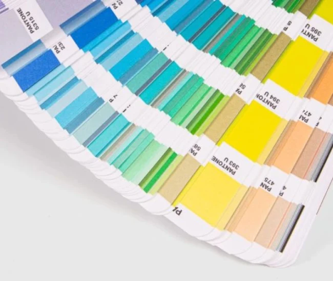 Pantone Renkler Taslama Kutu